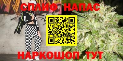 mdpv Лесосибирск
