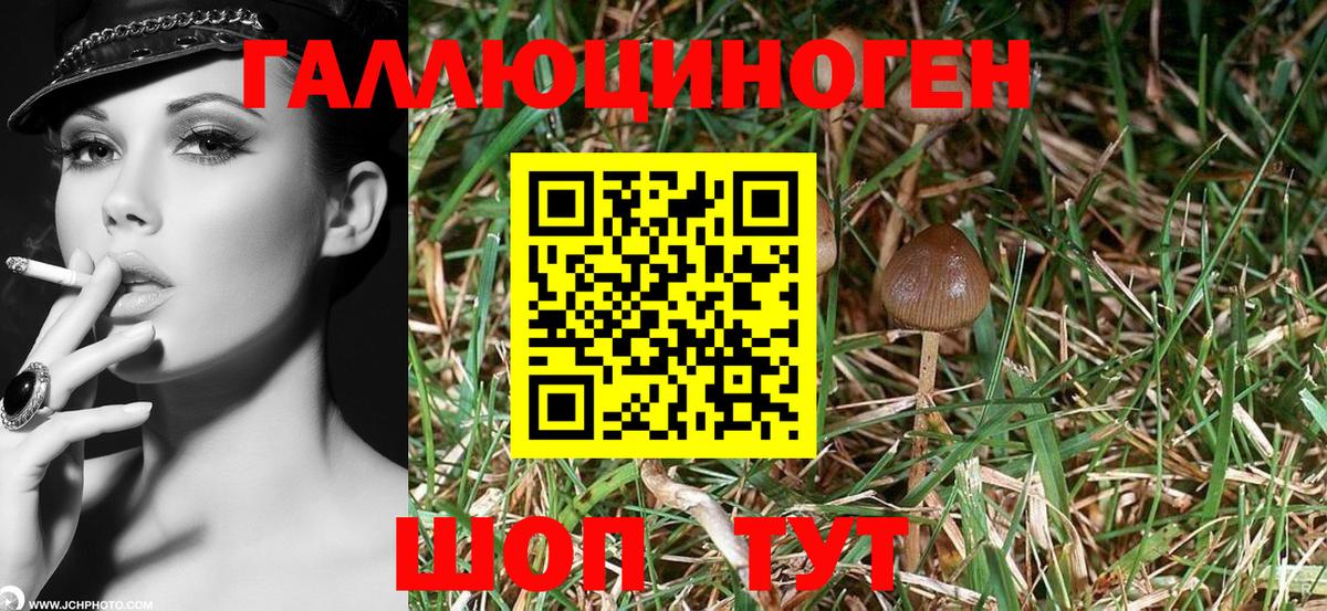 Галлюциногенные грибы мицелий Ярославль